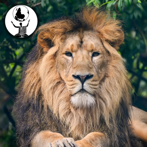 African Safari Trophy Hunting: Africa's Last Frontier