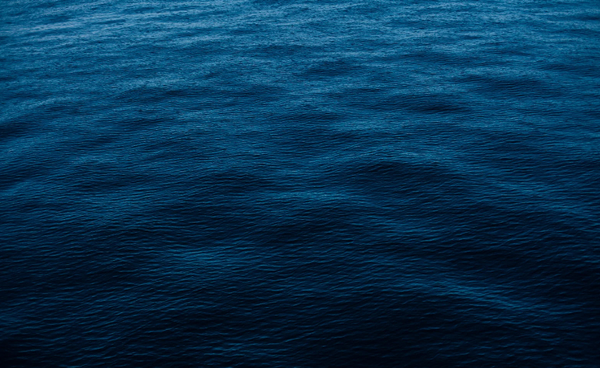 Fishing In Troubled Waters