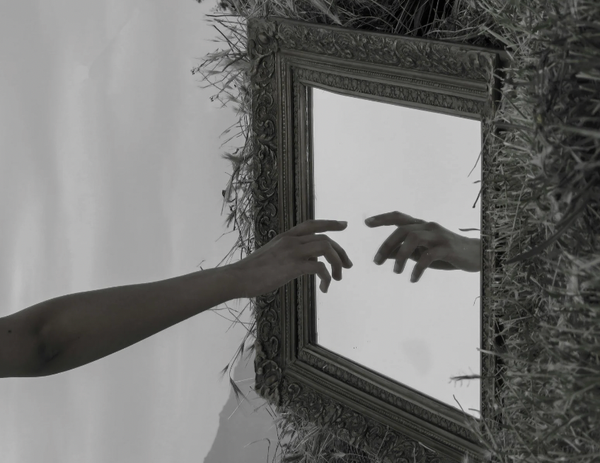 Mirrors & Heros