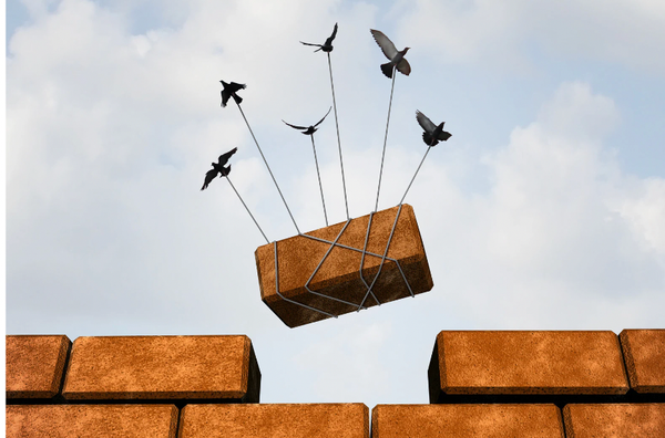 The Will To Build
